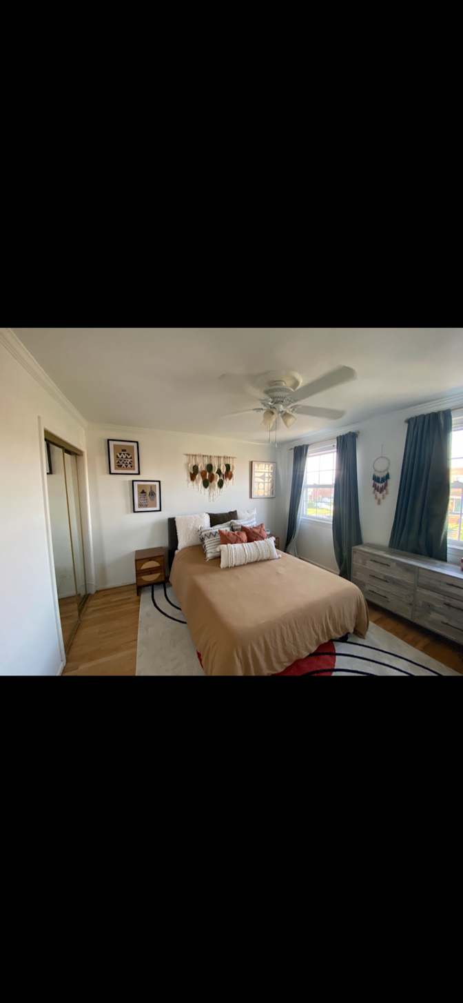 Haelly's room