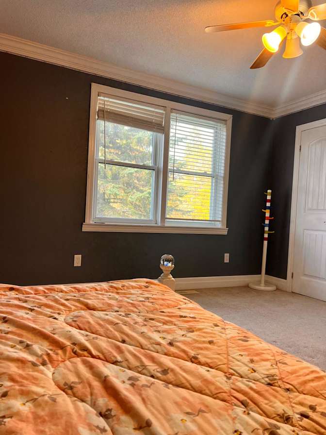 Aidin's room