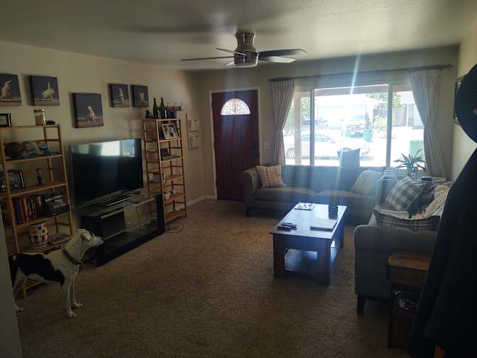 Hunter's room