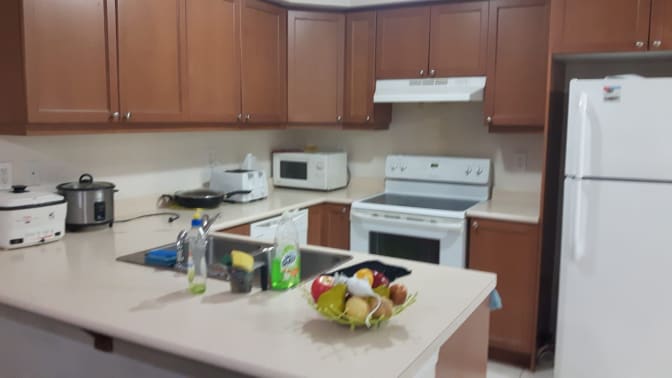 Shaheen's room
