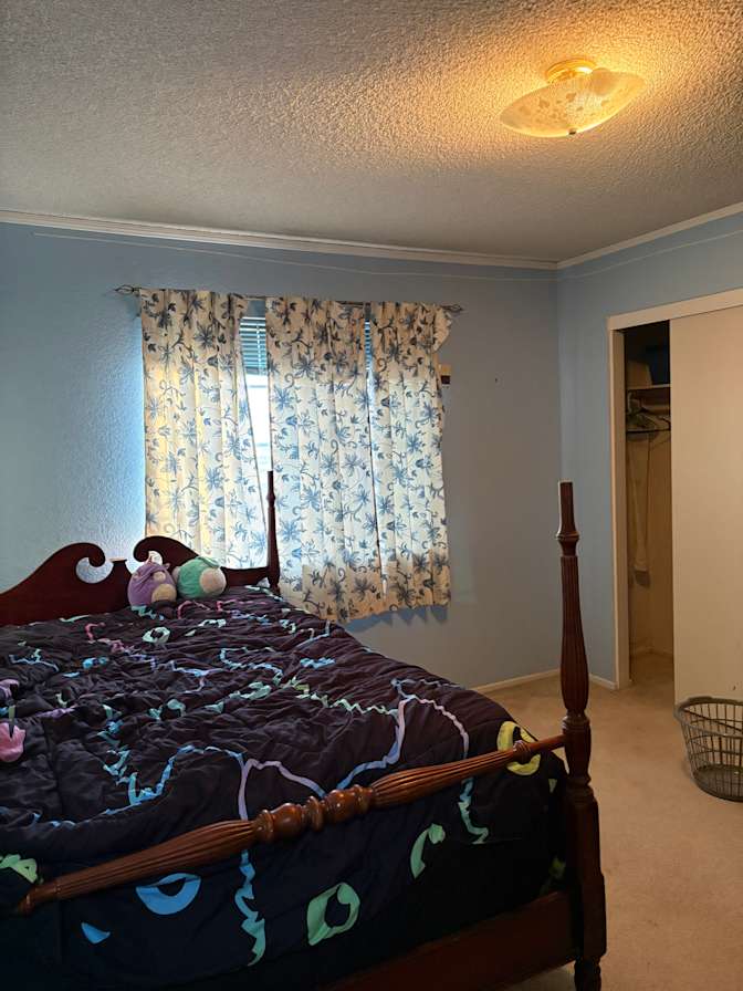 machelle pacheco's room