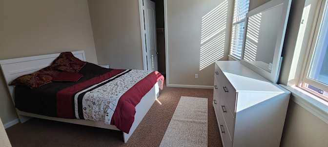 Mike and ZMG's room