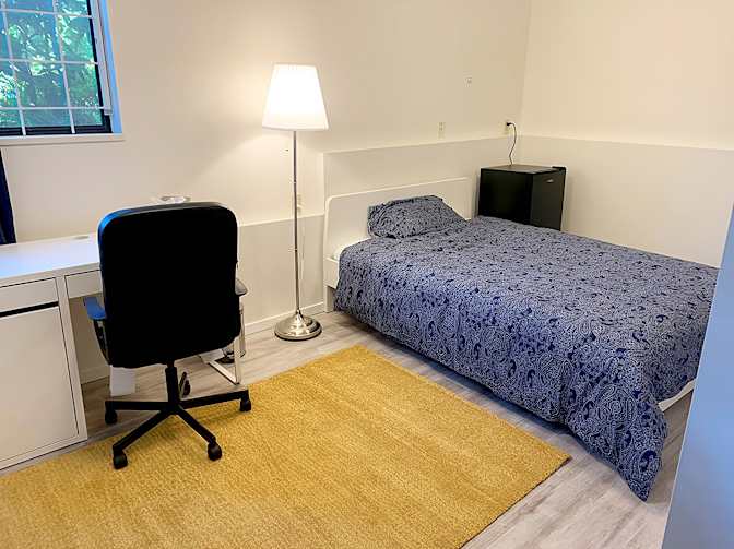 Shirin's room
