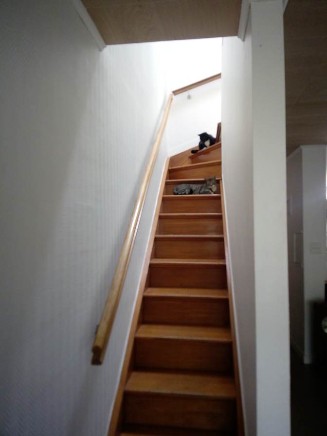 L's room