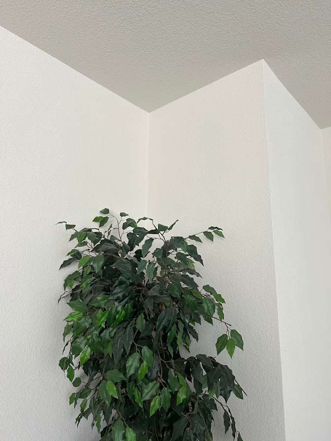 Kim's room