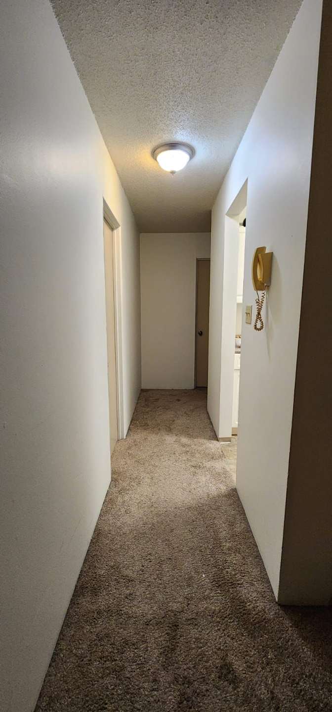 Brandon Powell's room