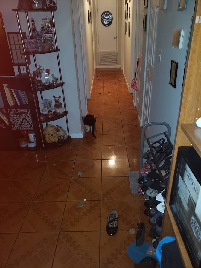 Ken's room