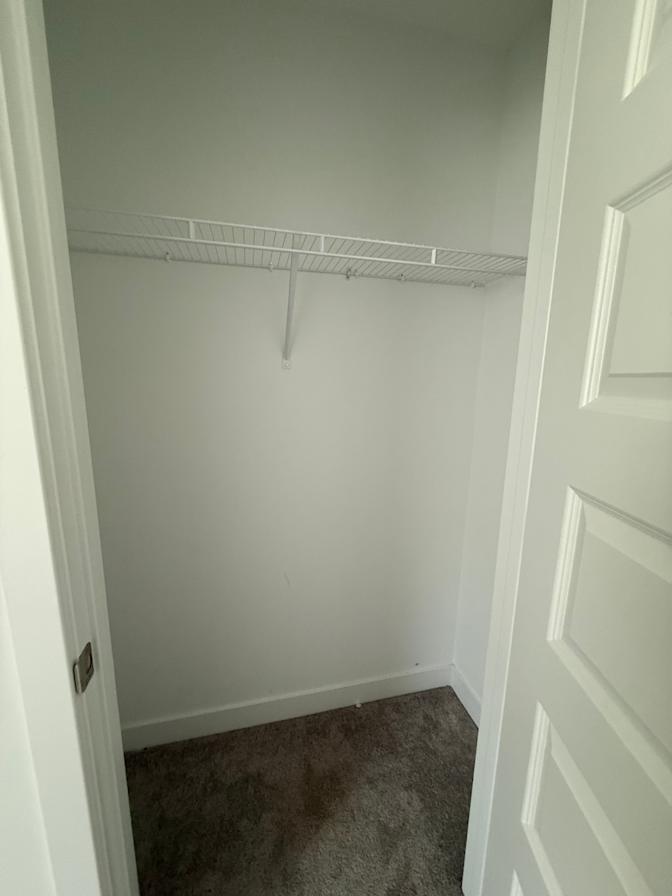 lauren's room