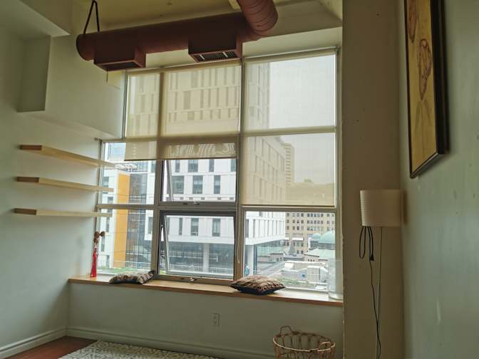 Elzbieta's room