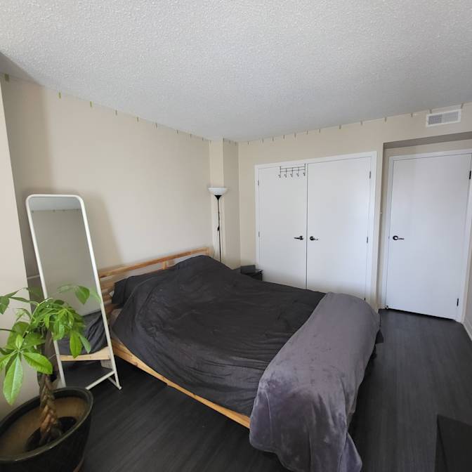 David's room