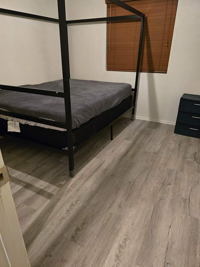 Luyi's room