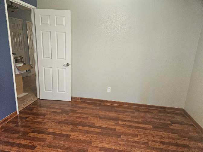 Shelly's room