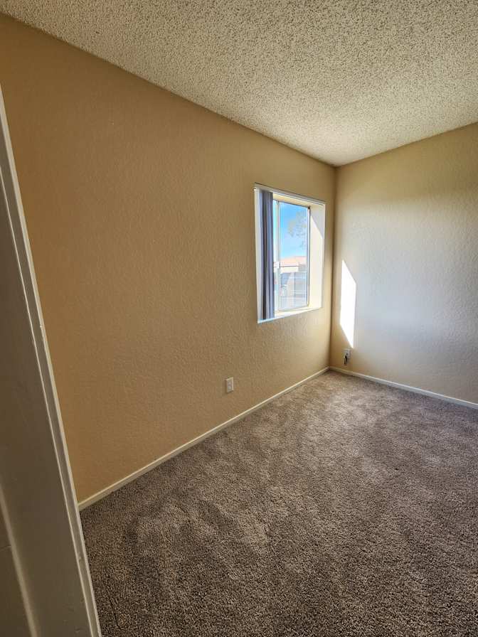Mary's room