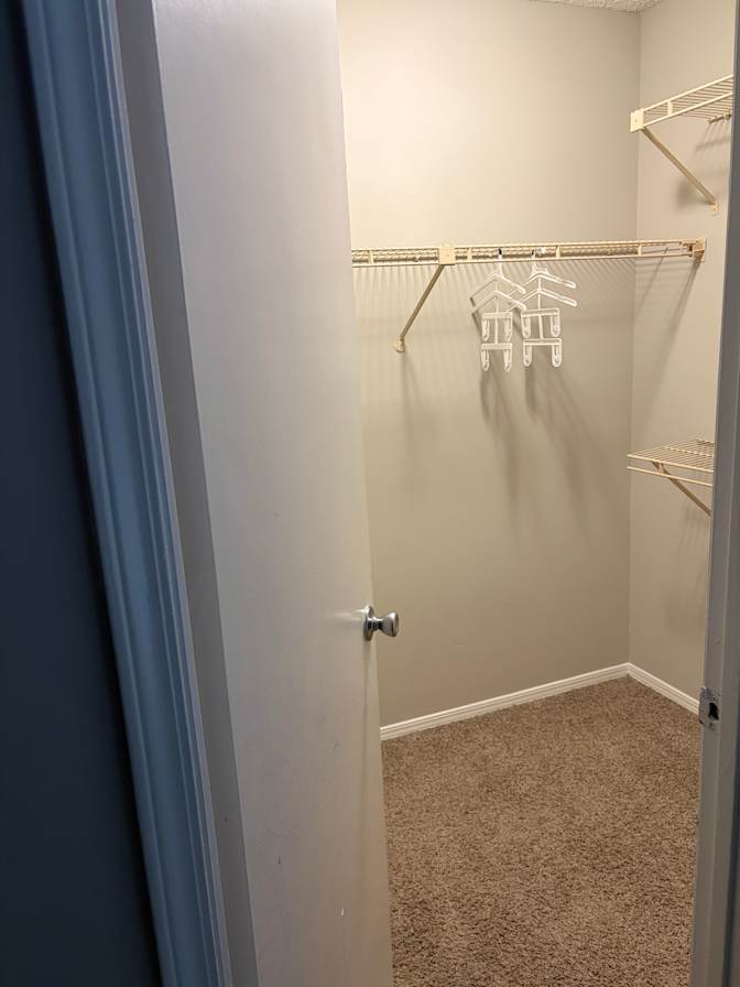 Alesha's room