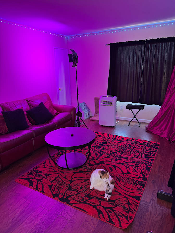 Scarlett's room