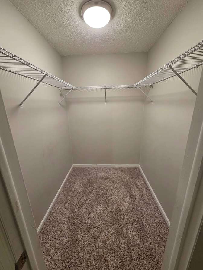 Cori's room
