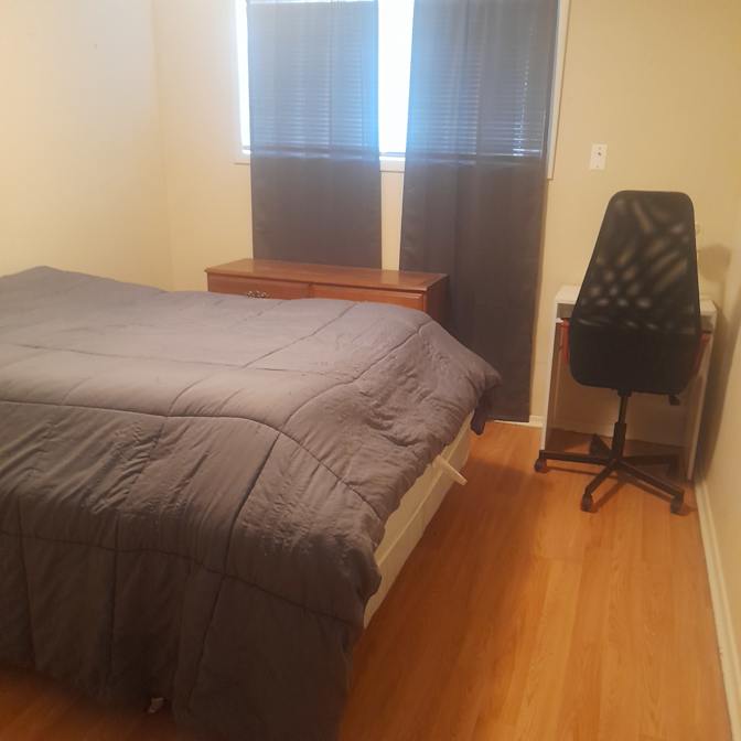Gizzmo's room