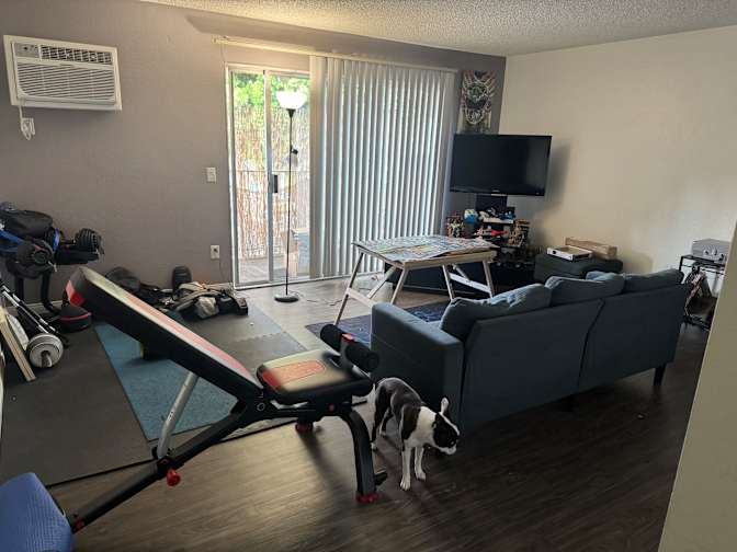 Greg's room
