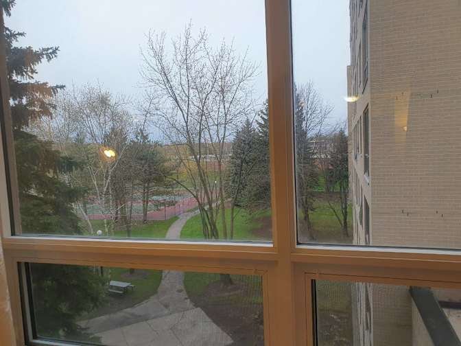 Foojan's room