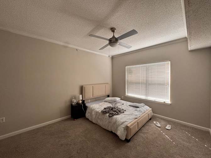 Shubhankar's room
