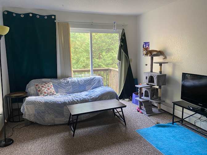 Leo's room