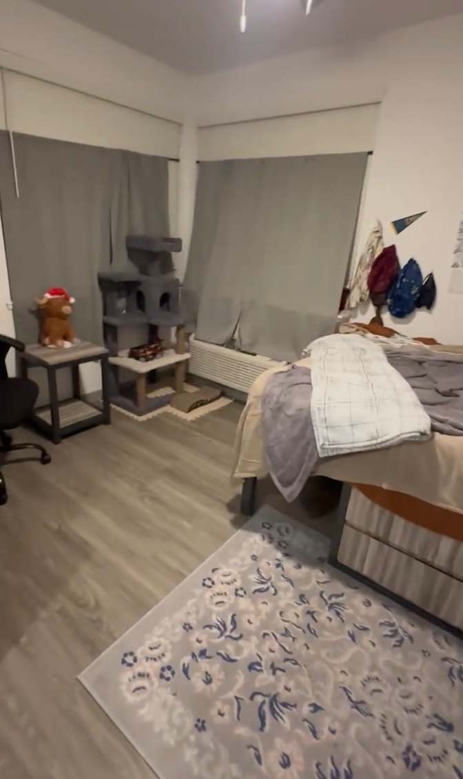 Jasmine Lee Junior's room