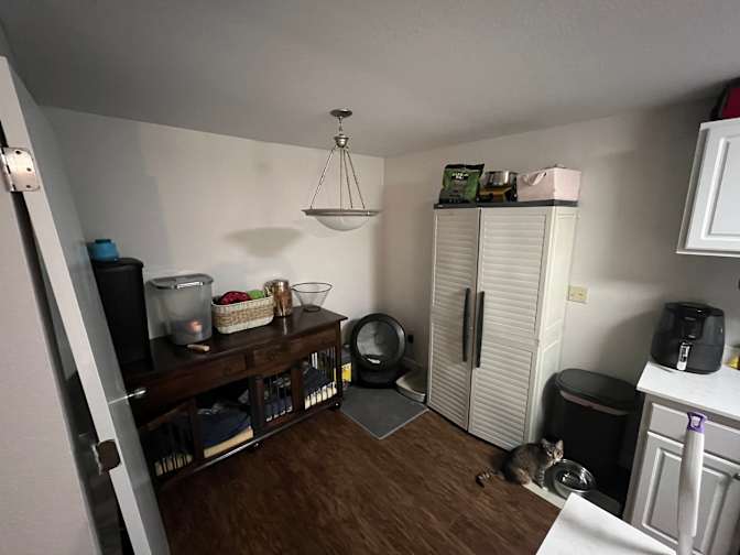 Claire's room