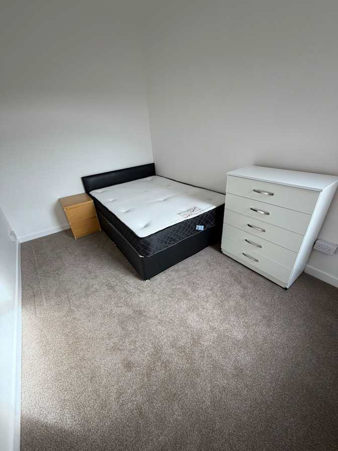 Mihaela Busuioc's room