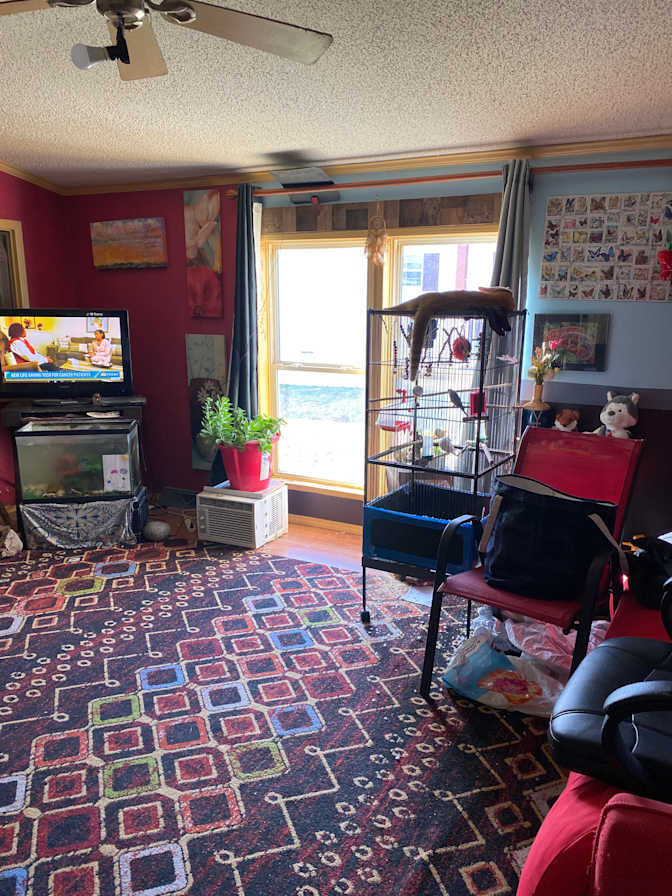 Judy's room