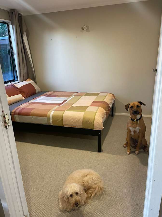Sam Hanson-Chong's room