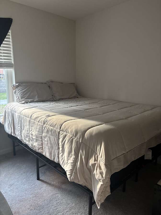 Lyn's room