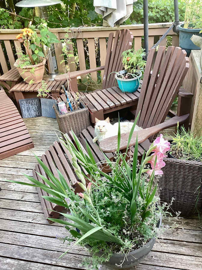 Bedroom for rent's room