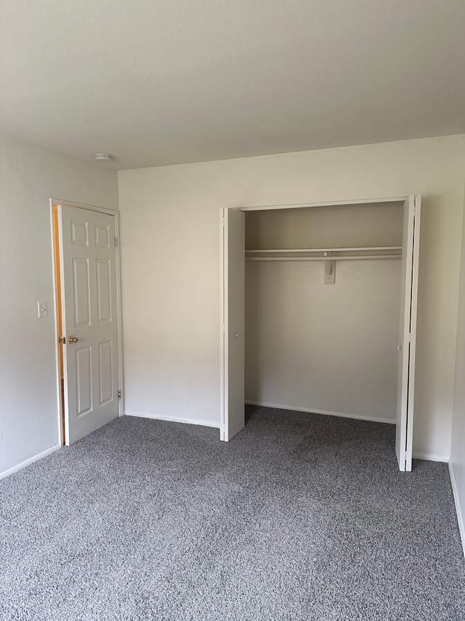 Sophia's room