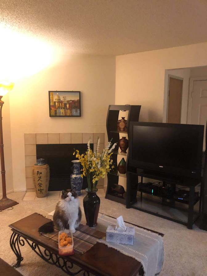 Herman's room