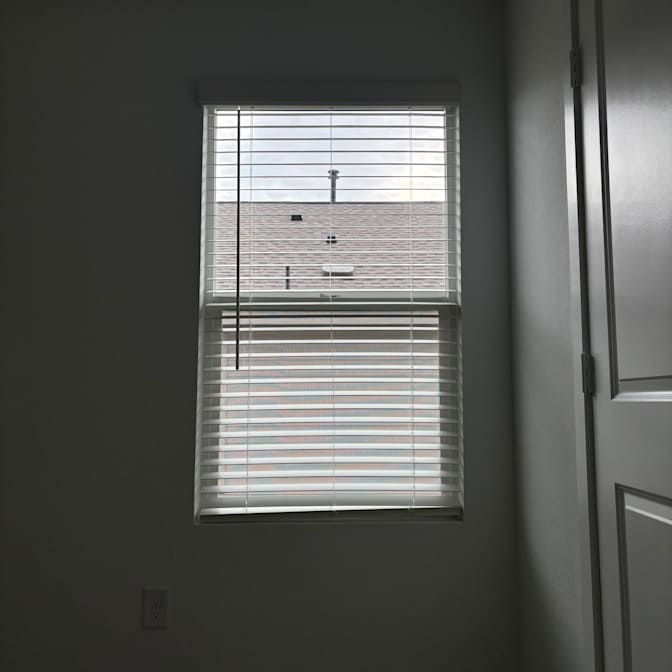 Cat's room