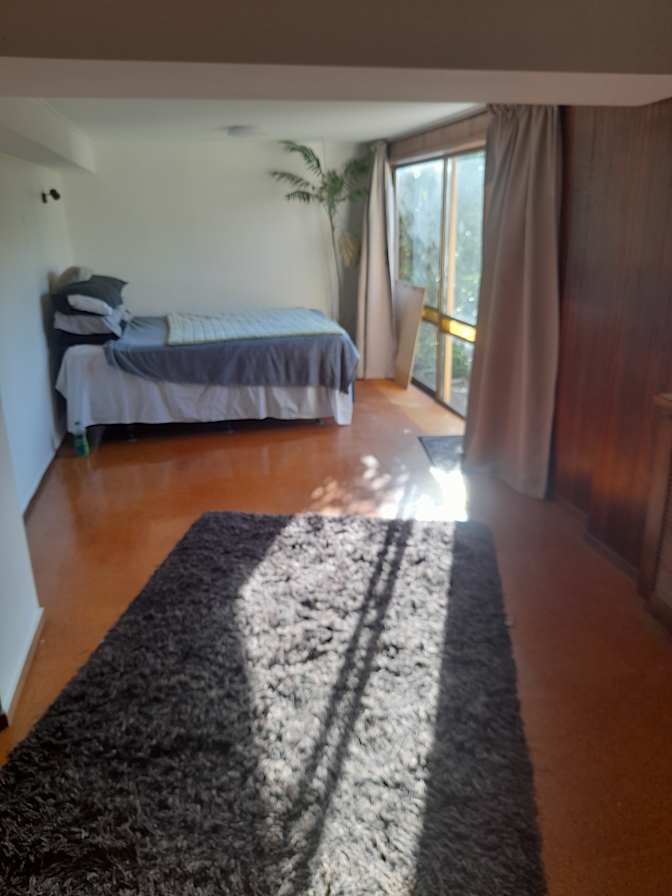 Damo's room