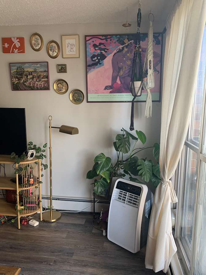 Maria Khanfar's room