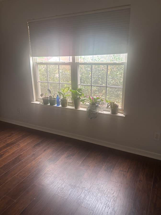Cathy Stuart's room