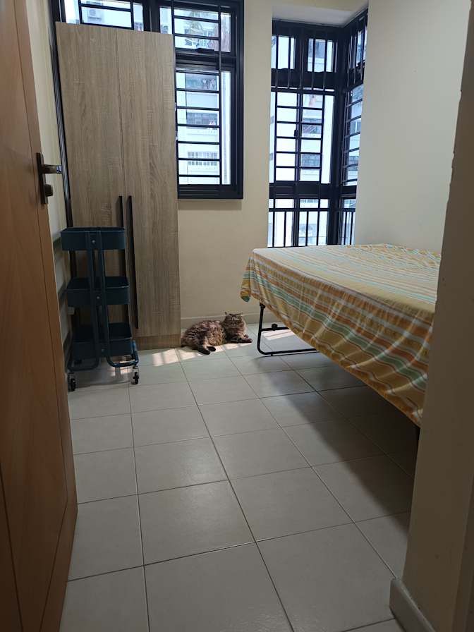 Hana Zakaria's room