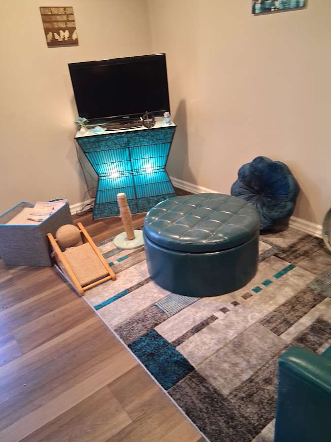 Vicki's room