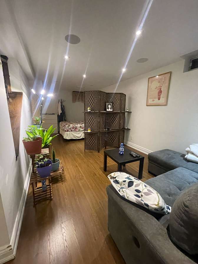 luigi's room