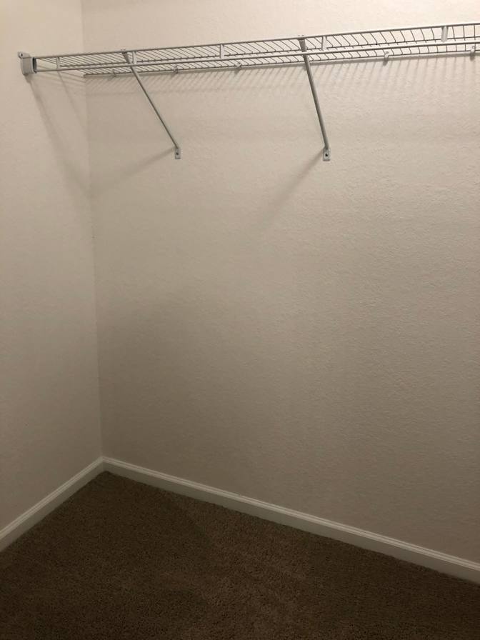 Cecilia's room