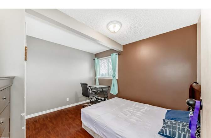 Todd's room