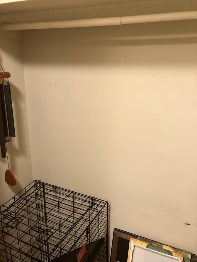 Quiet Professional's room