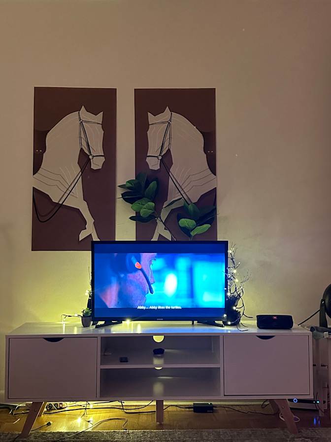 Mishmi's room