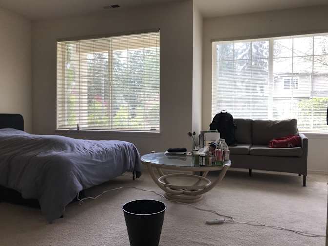 Suz's room