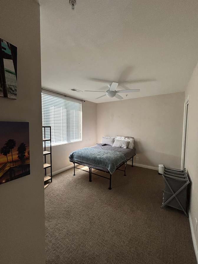 Mary's room