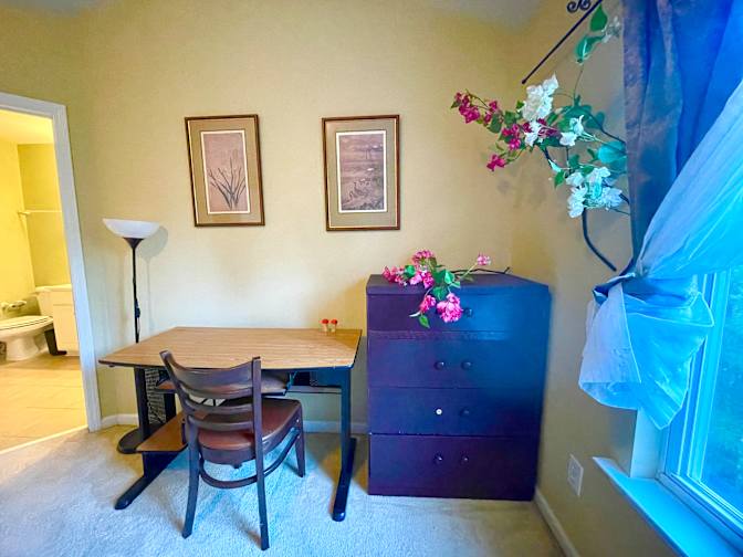 Ann's room