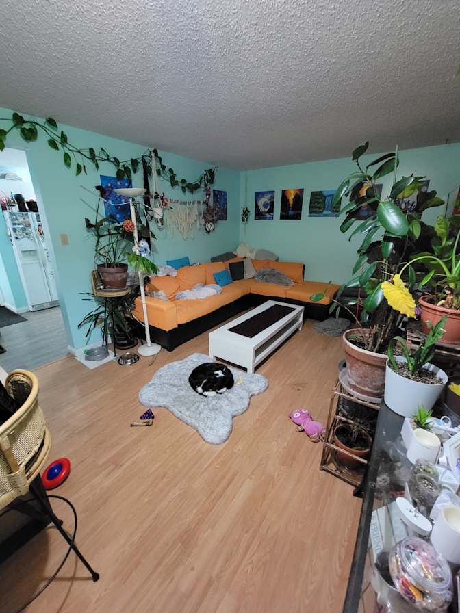 Jeremmie's room