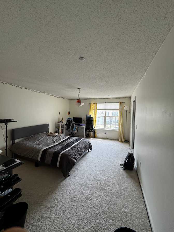 Efe's room